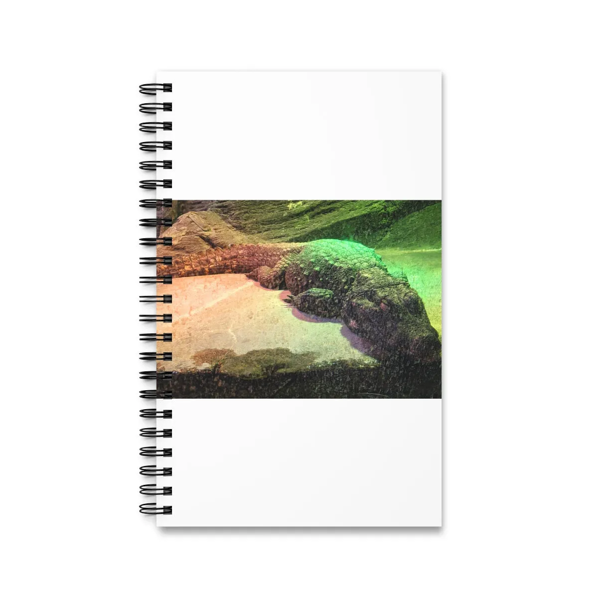 Crocodile Spiral Journal (EU)