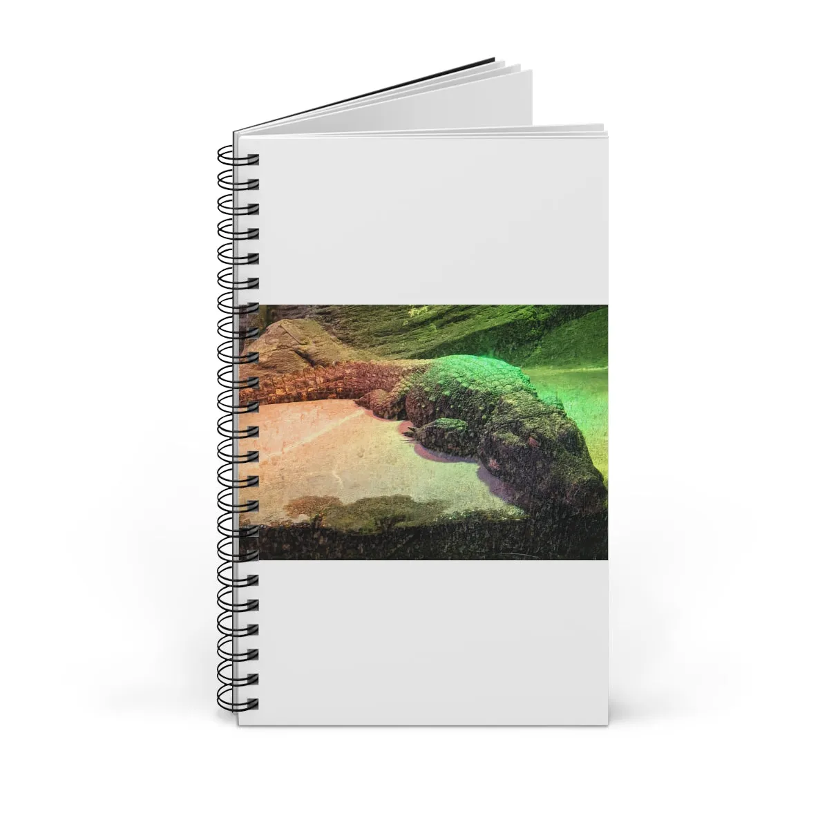 Crocodile Spiral Journal (EU)