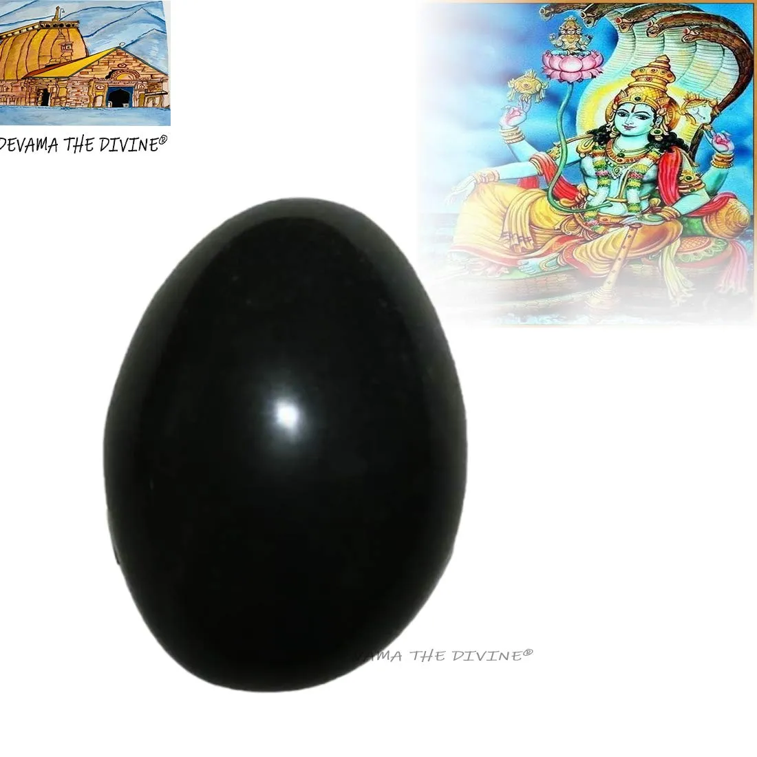 Devama The Divine™ Natural Black Stone Shaligram/SALIGRAM/SHALAGRAM/SALAGRAMA Shila for Pooja (Religious Stone) for Divine Blessings from GANDAKI River