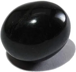 Devama The Divine™ Natural Black Stone Shaligram/SALIGRAM/SHALAGRAM/SALAGRAMA Shila for Pooja (Religious Stone) for Divine Blessings from GANDAKI River