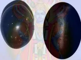 Devama The Divine™ Natural Black Stone Shaligram/SALIGRAM/SHALAGRAM/SALAGRAMA Shila for Pooja (Religious Stone) for Divine Blessings from GANDAKI River