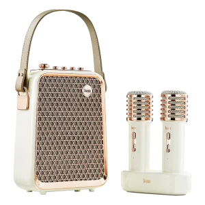 Divoom Songbird-HQ Portable Karaoke Bluetooth Speaker