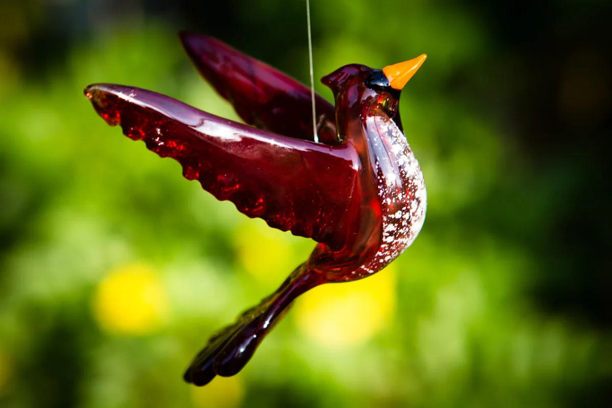 Flying Cardinal with Cremation Ash