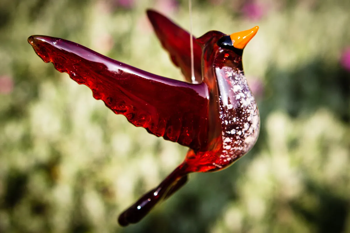 Flying Cardinal with Cremation Ash