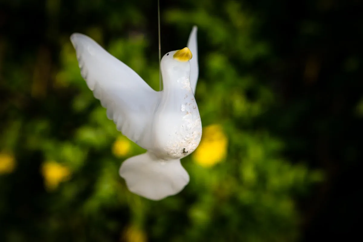 Flying Dove with Cremation Ash