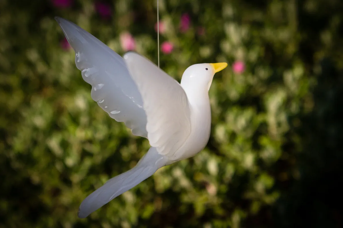 Flying Dove with Cremation Ash