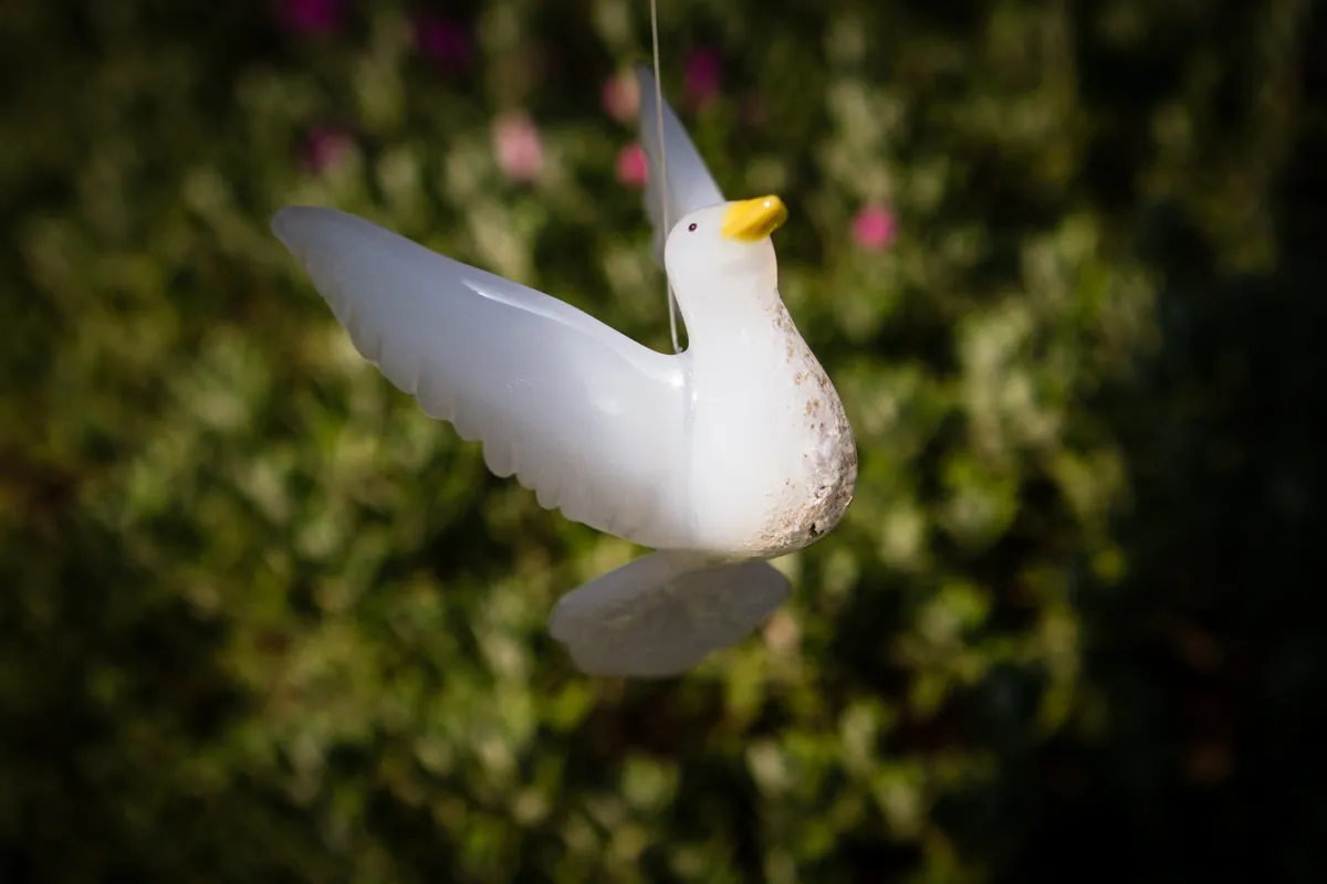 Flying Dove with Cremation Ash