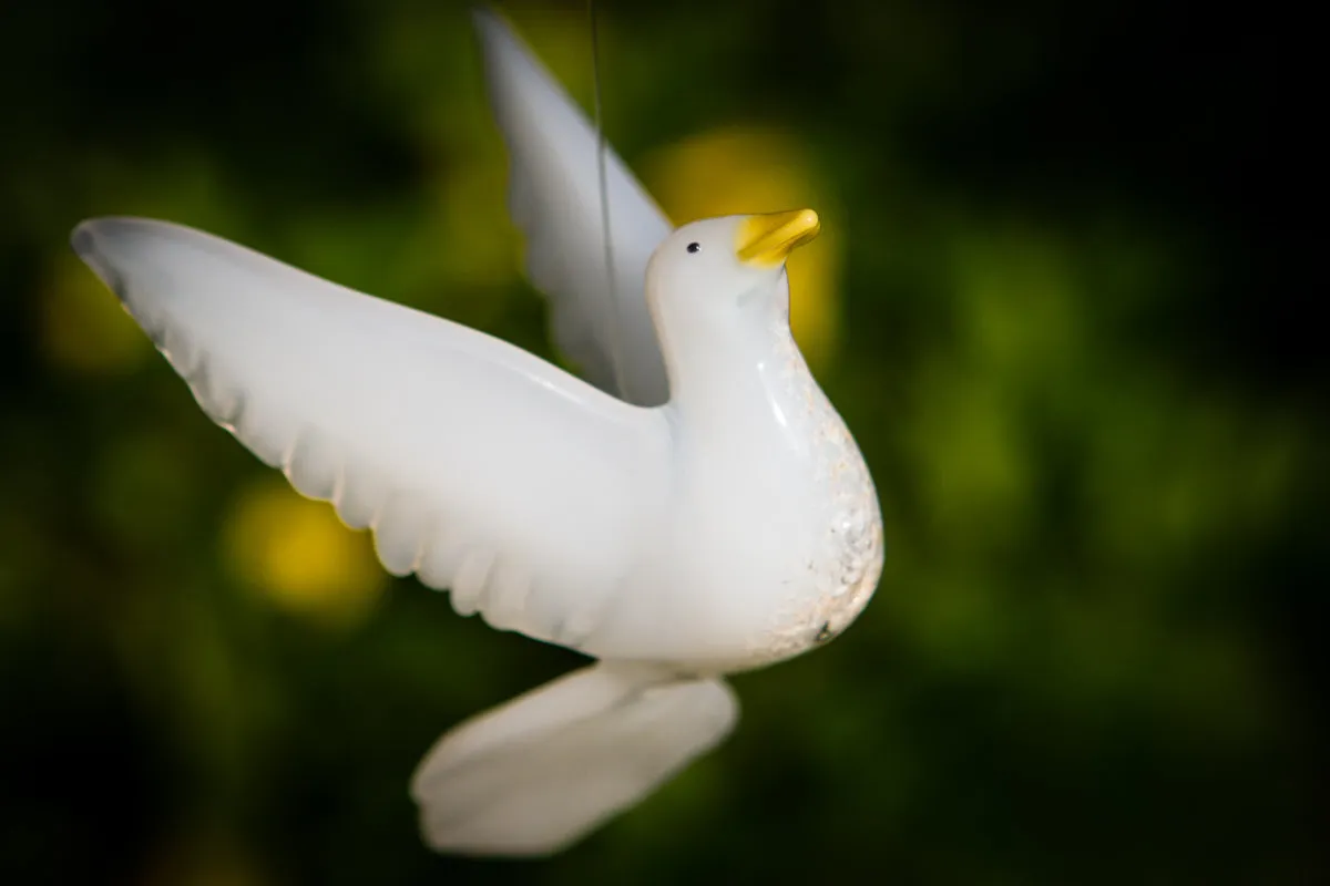 Flying Dove with Cremation Ash