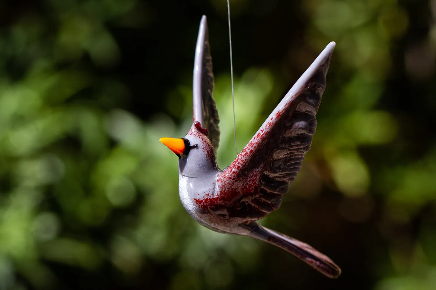 Flying Female Cardinal with Cremation Ash