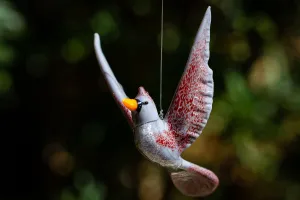 Flying Female Cardinal with Cremation Ash