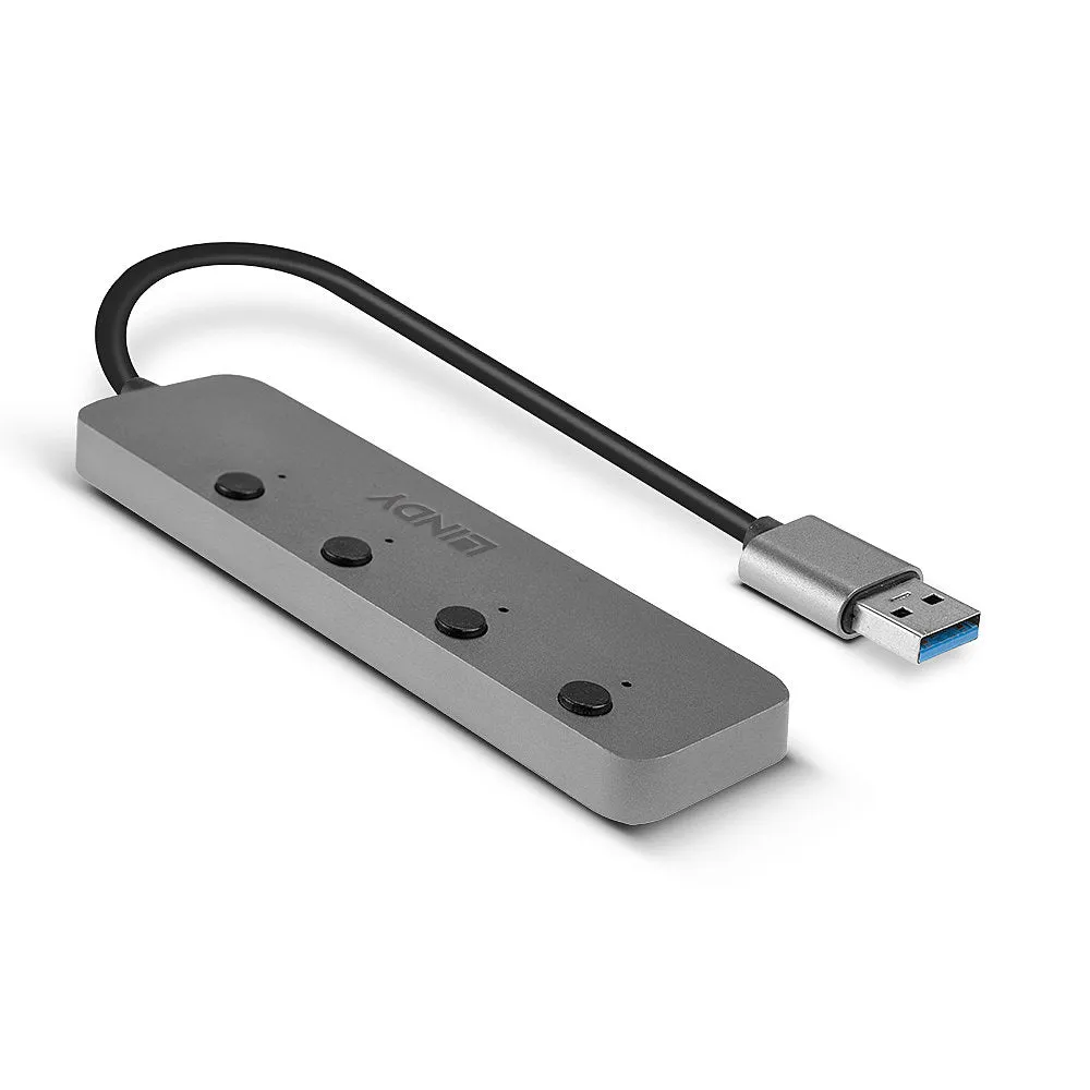 Lindy - Hub - 4 Ports