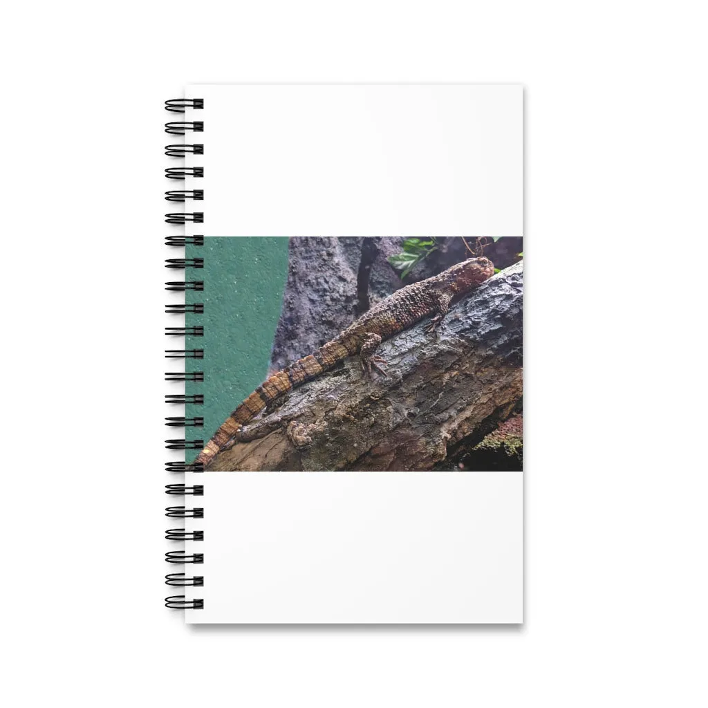 Lizard Spiral Journal (EU)