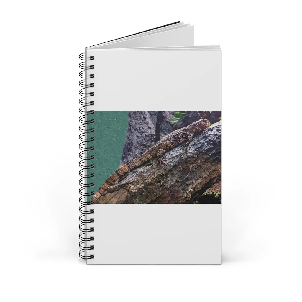 Lizard Spiral Journal (EU)