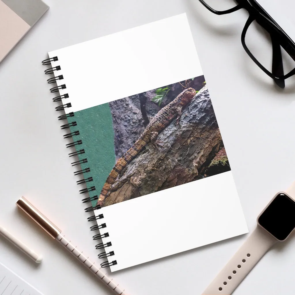Lizard Spiral Journal (EU)