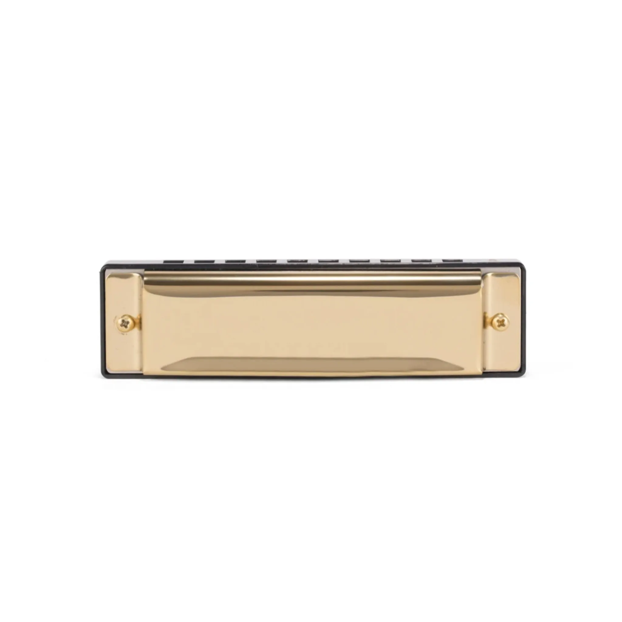 Make Your Own Harmonica Kit