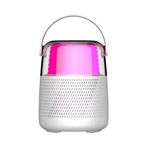 New Outdoor Bluetooth Audio with Microphone Home Karaoke Portable Speaker Mini Portable Subwoofer