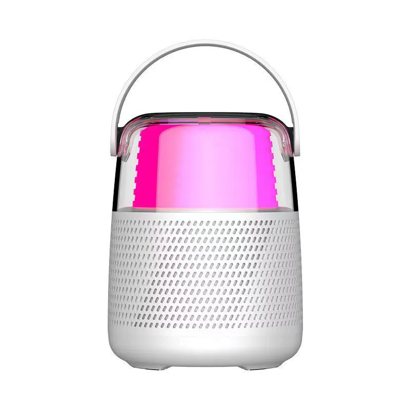 New Outdoor Bluetooth Audio with Microphone Home Karaoke Portable Speaker Mini Portable Subwoofer