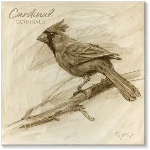 Sepia Northern Cardinal