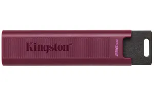 Stick 256Gb Usb 3.2 Kingston Datatraveler Black