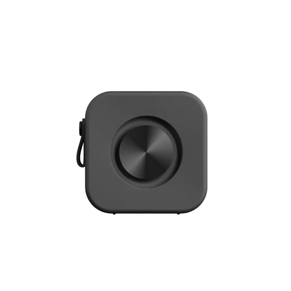 Sudio F2 Portable Speakers Black