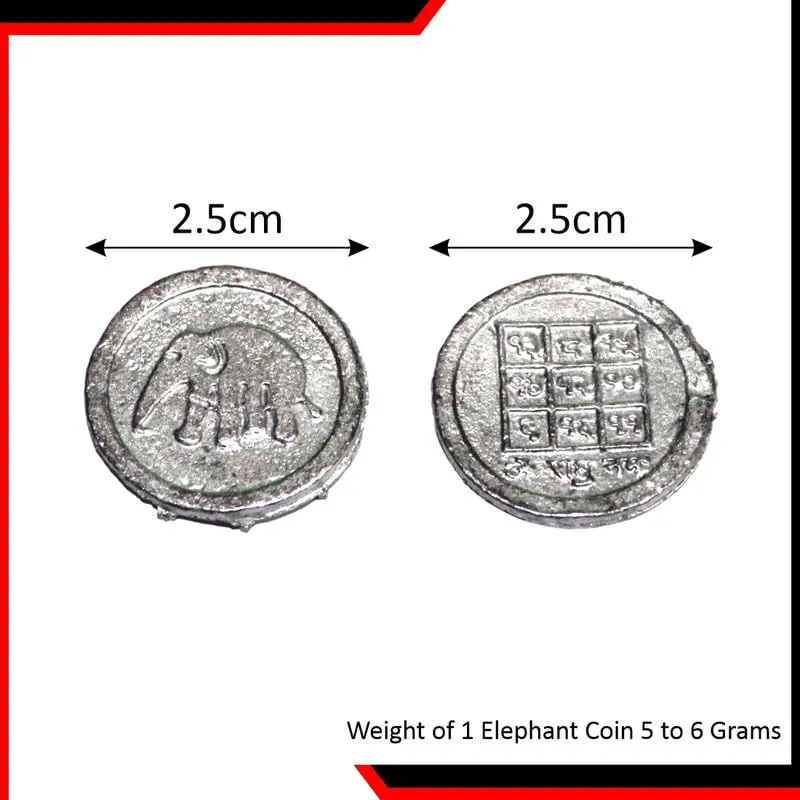 TORPPEZA Rahu Coins Ranga Remedy/Lead Figurines for Rahu/Ketu/Kalsarp Dosh Shanti - for Floating in Water- Jal Mein Pravahit Karne Ke Liye (2.5cm | Pack 11)